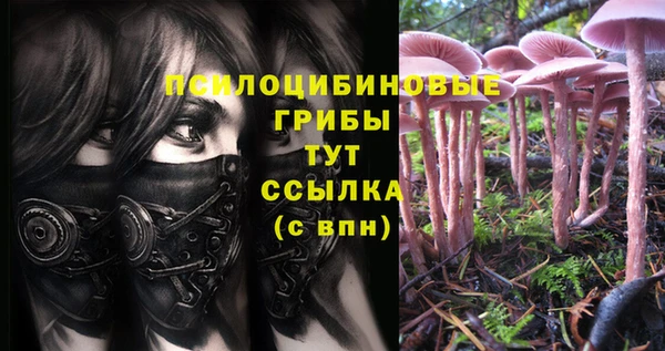 гашишное масло Осташков