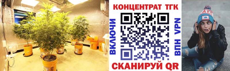 Купить где  Собинка  Дистиллят ТГК Wax 